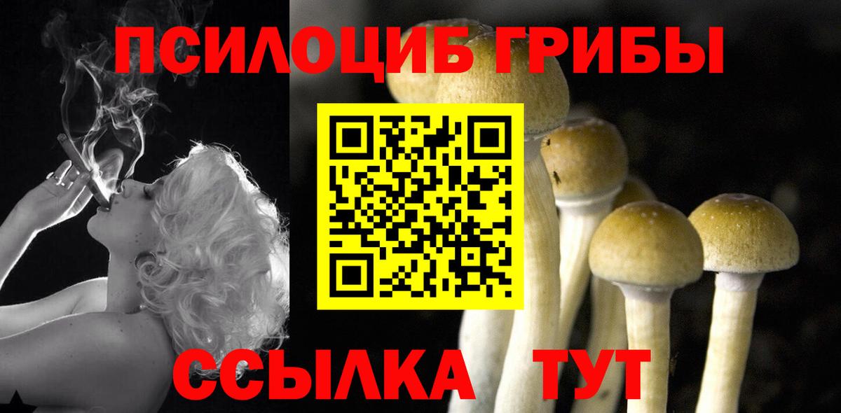 Псилоцибиновые грибы MAGIC MUSHROOMS  Вход с VPN  Кропоткин  Псилоцибиновые грибы Psilocybine cubensis 